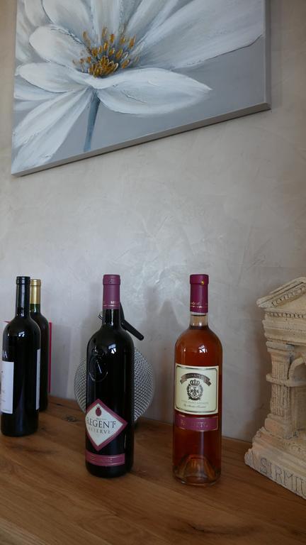 B&B Posejdon Sremska Mitrovica Dış mekan fotoğraf